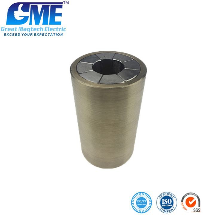 Permanent Neodymium Magnet For Water Pump